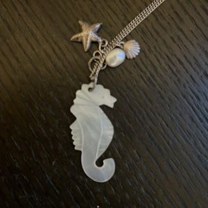 15” Seahorse Necklace American Eagle
